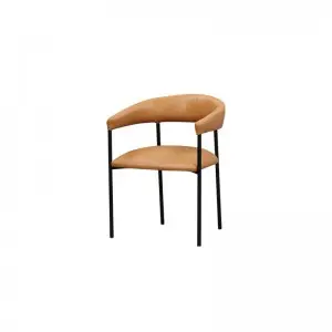 Erica Occasional Chair